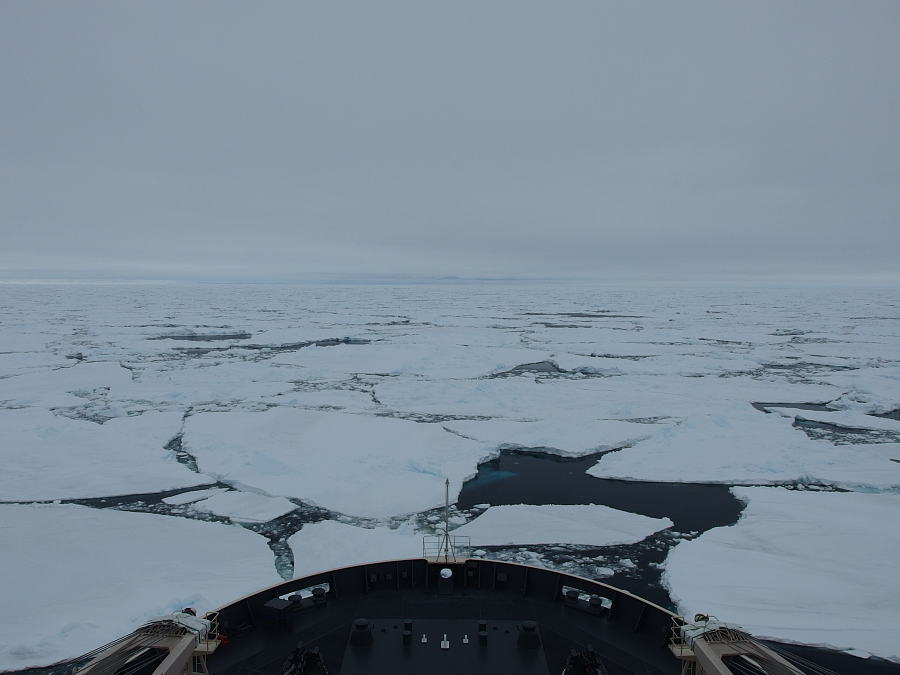 c0193901_4235296.jpg