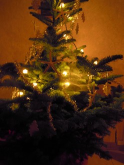 e0206902_1223922.jpg