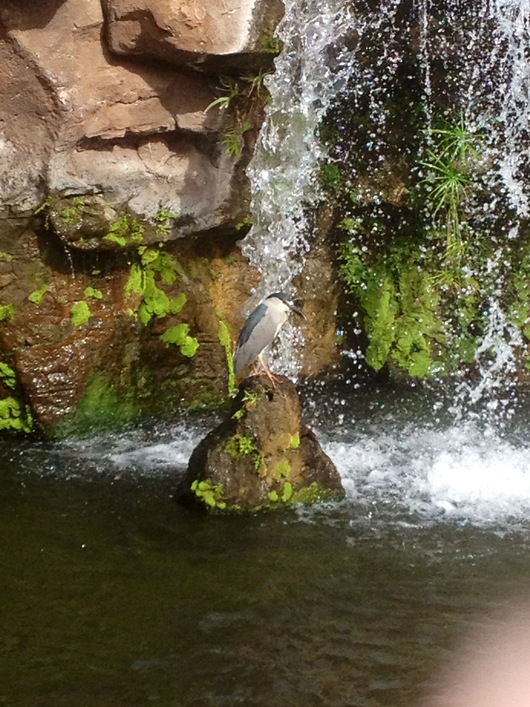 c0172504_1715984.jpg