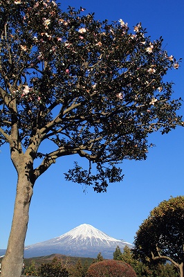 a0188405_1138985.jpg