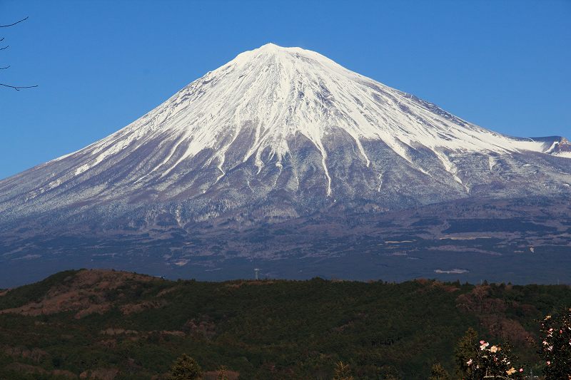 a0188405_1140170.jpg