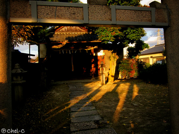 a0154706_9523494.jpg