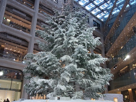 f0108825_17281033.jpg