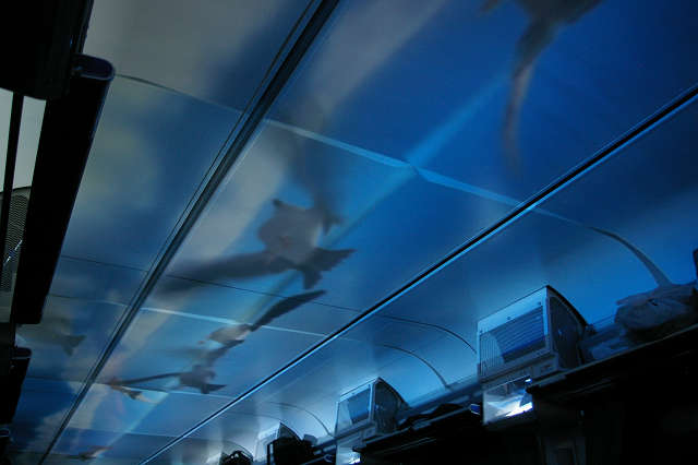 b0283432_21352668.jpg