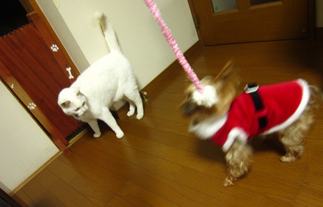 f0002833_1838117.jpg