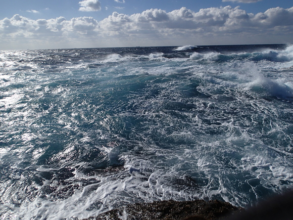 e0018843_23545027.jpg