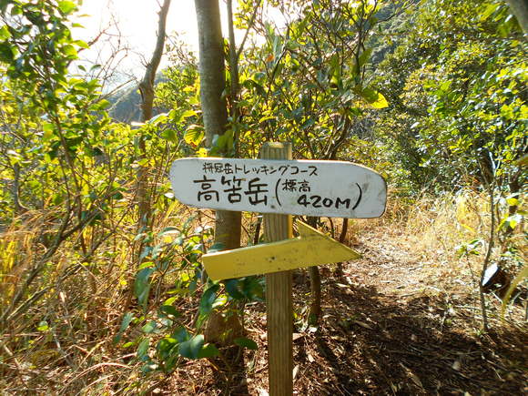a0206345_1552337.jpg