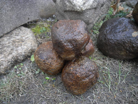 e0126548_11325589.jpg