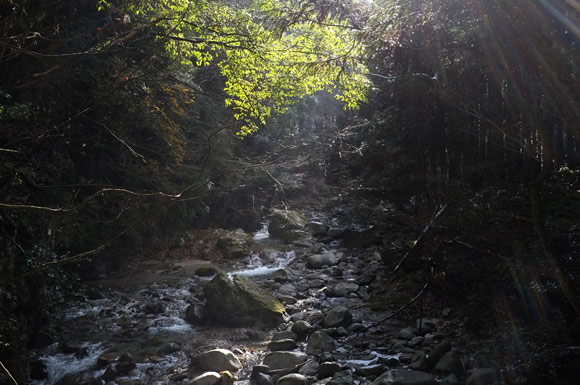 a0166150_1735166.jpg