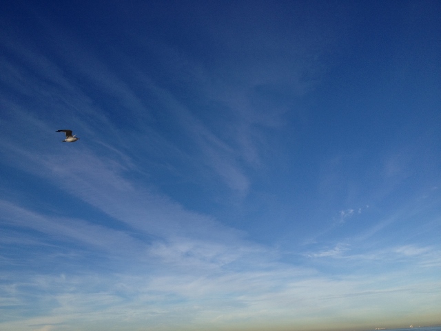 e0033156_12424377.jpg
