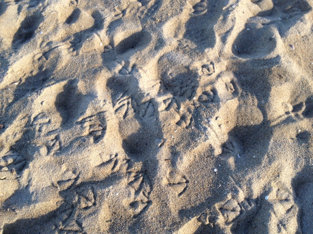 e0033156_12481054.jpg