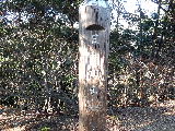 e0088260_2057204.jpg