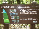 e0088260_20593019.jpg