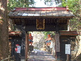 e0088260_2059437.jpg