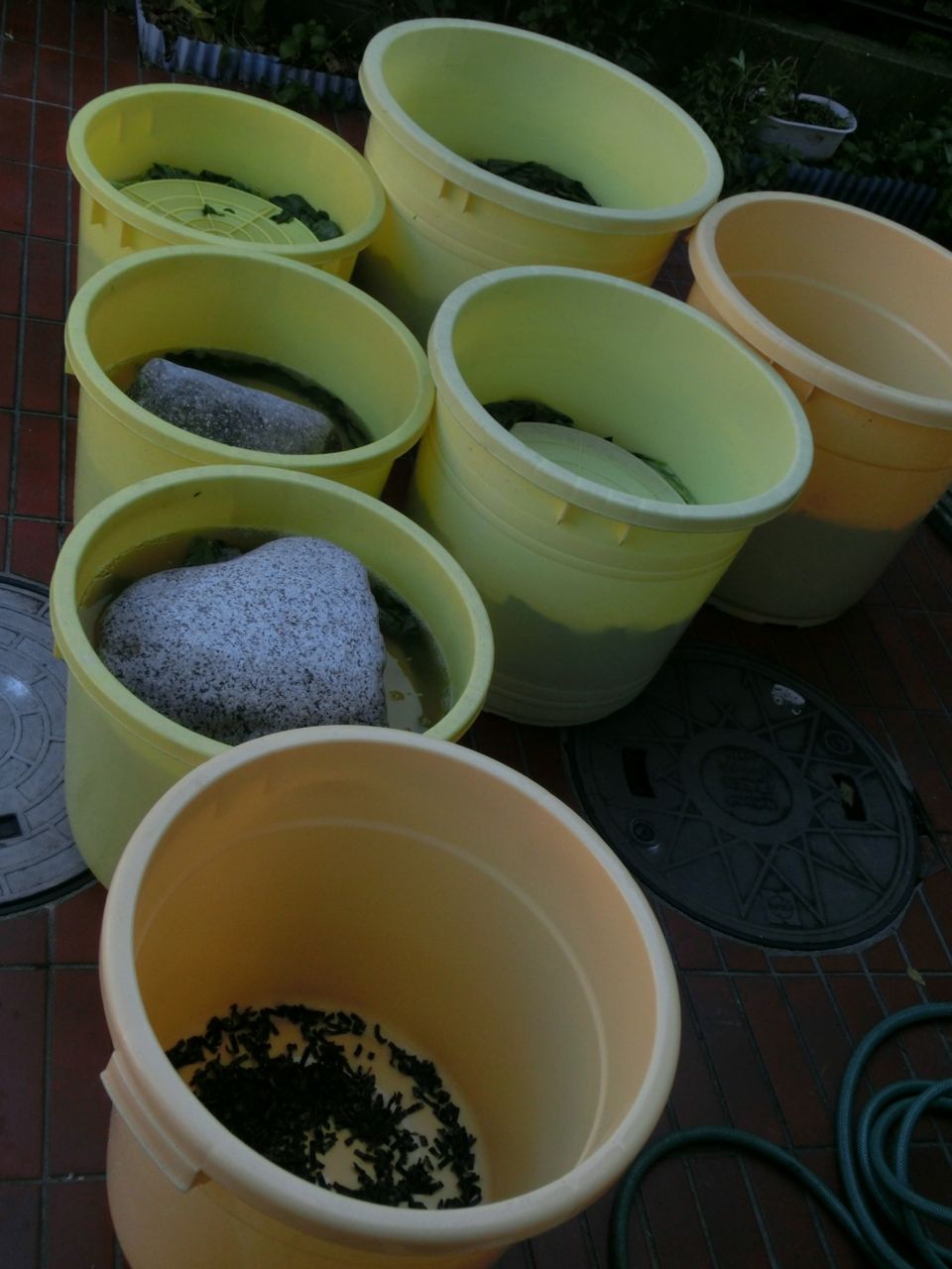 d0105063_1951370.jpg