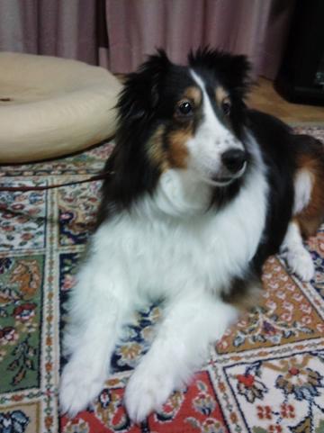 c0123890_22211982.jpg
