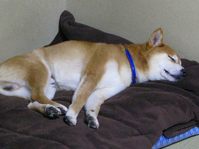 f0181394_2054322.jpg