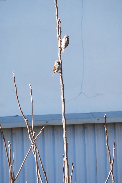 e0025300_16413421.jpg