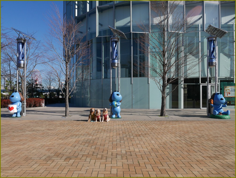 e0117503_36063.jpg