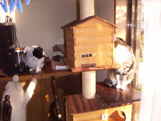 e0018604_21363999.jpg