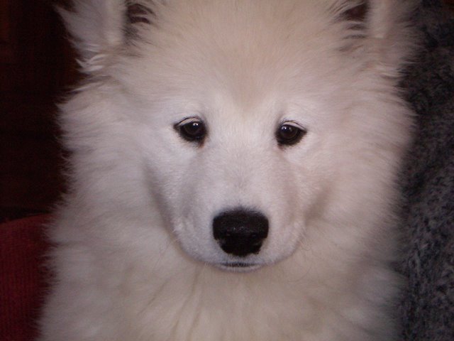 e0018604_21370543.jpg