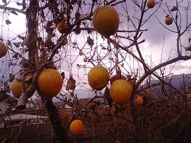 f0231709_2010134.jpg