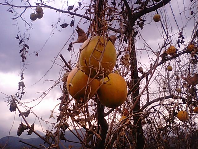 f0231709_20104176.jpg