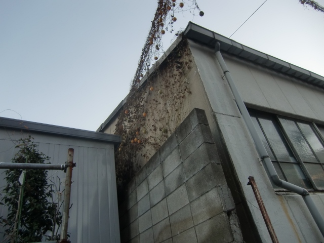 f0231709_21422974.jpg