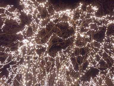 f0284409_1432258.jpg