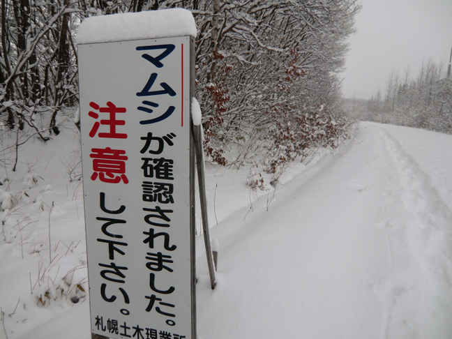 c0292312_21440478.jpg