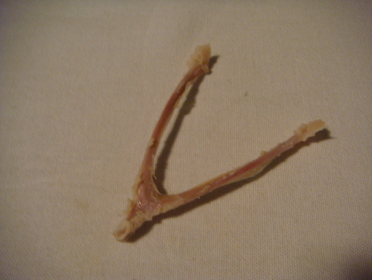 b0305914_2075835.jpg