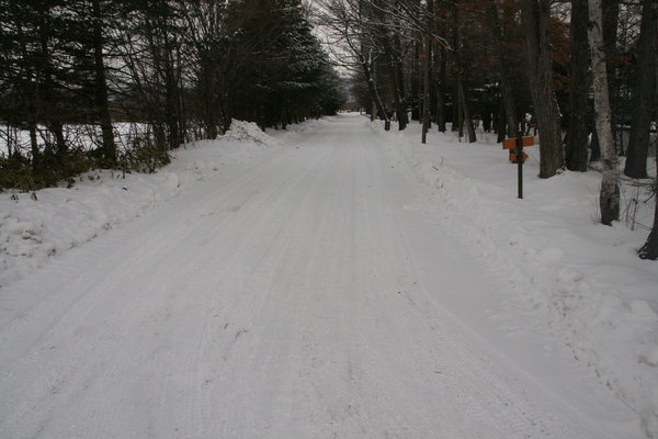 b0174425_11303665.jpg