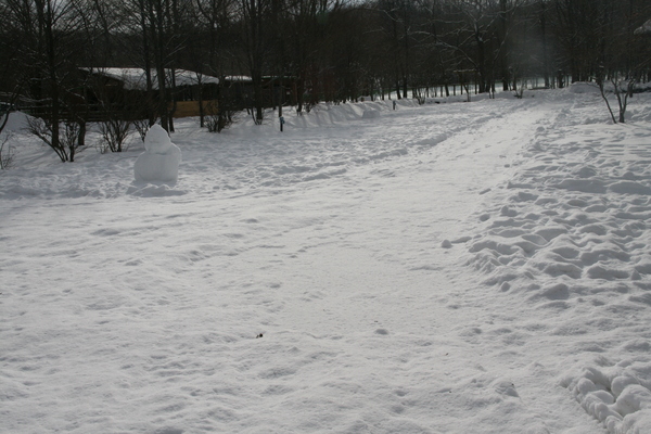 b0174425_11404345.jpg