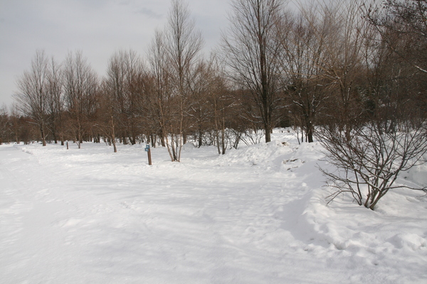 b0174425_11424363.jpg
