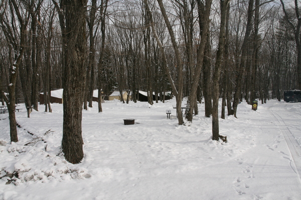 b0174425_11451967.jpg