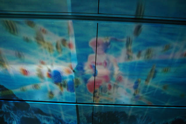 b0283432_21185870.jpg
