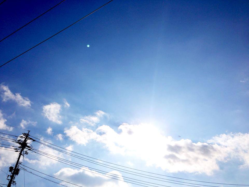 c0251732_17561361.jpg