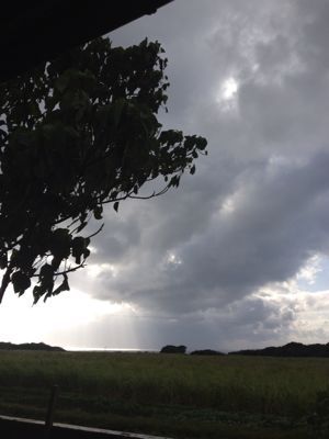 a0157135_1514138.jpg
