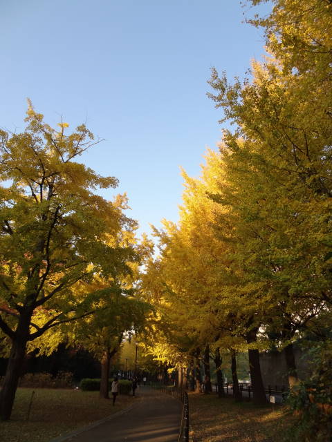 b0117437_16214838.jpg