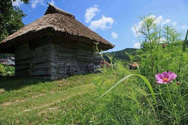 a0242438_19462645.jpg