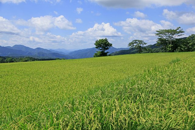 a0242438_19463137.jpg