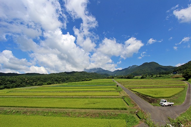 a0242438_19464061.jpg
