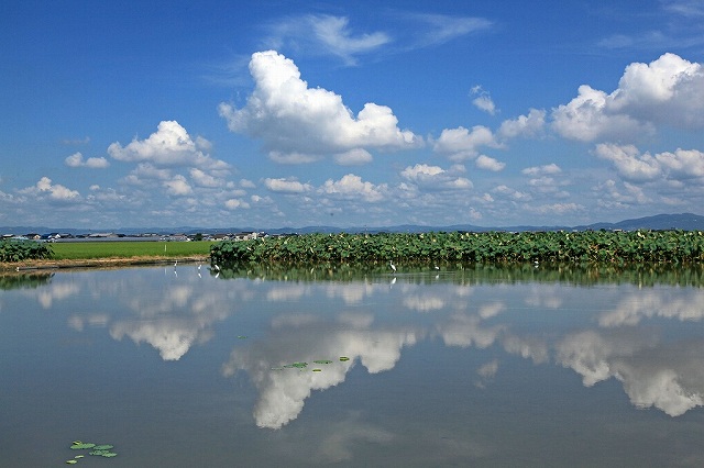 a0242438_21492082.jpg