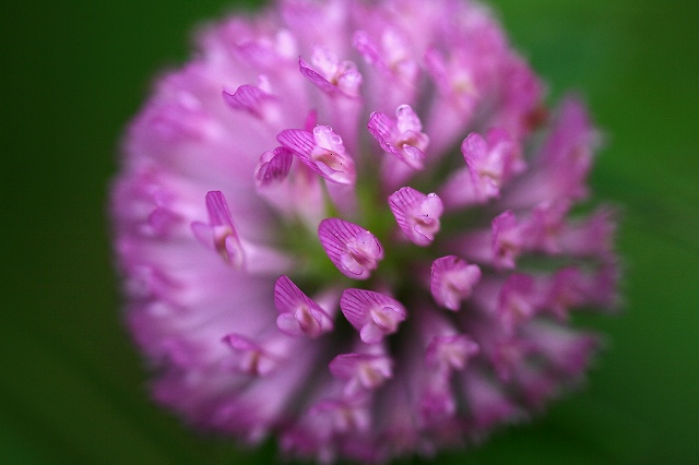 a0242438_2151020.jpg