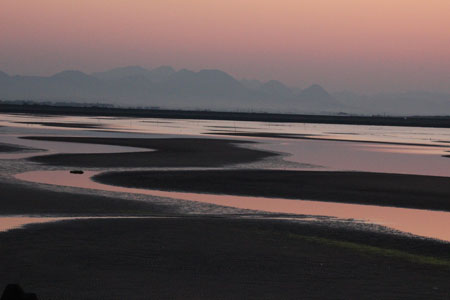 c0068639_15411139.jpg
