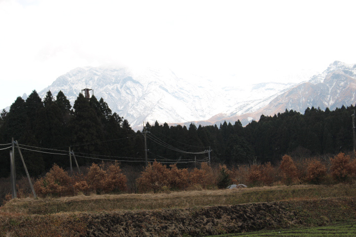 c0153740_20244321.jpg