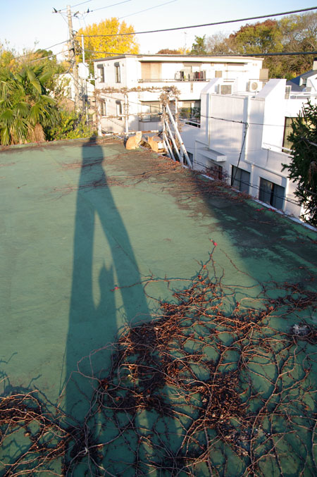 f0149442_6353623.jpg