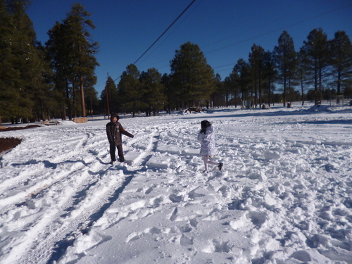 a0308646_15561825.jpg
