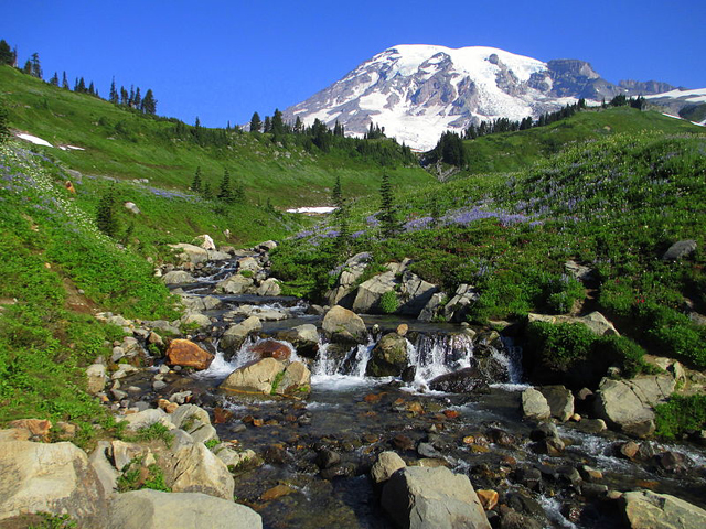 a0132147_2173340.jpg