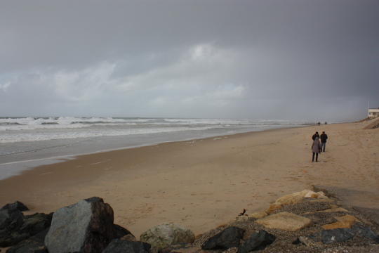 b0296855_20004872.jpg